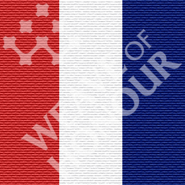 South African Medal for War Services